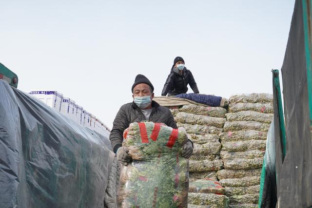 黑龙江省最大的果蔬批发市场哈达农产品批发市场26日出现阳性感染者