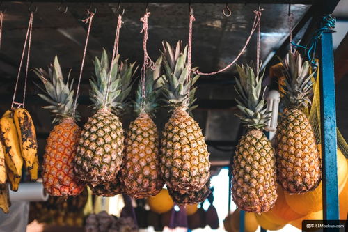 植物 菠萝 水果 食品 市场 生产 美食摄影图片
